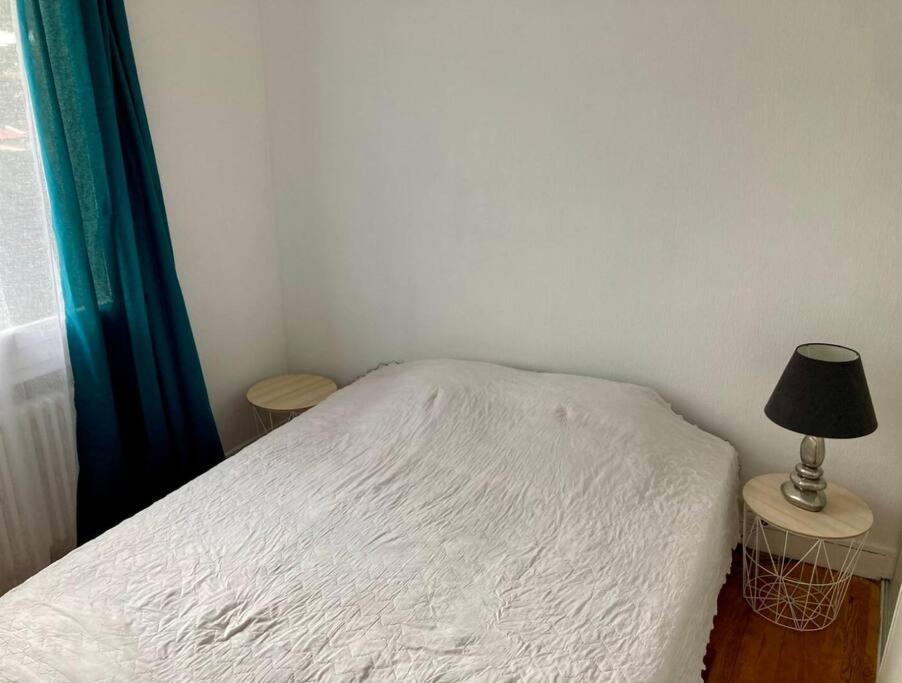 טולוז Grand Appartement Proche Cite De L'Espace מראה חיצוני תמונה